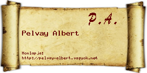 Pelvay Albert névjegykártya